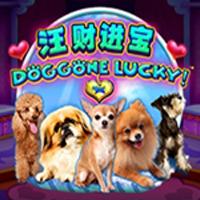 Doggone Lucky